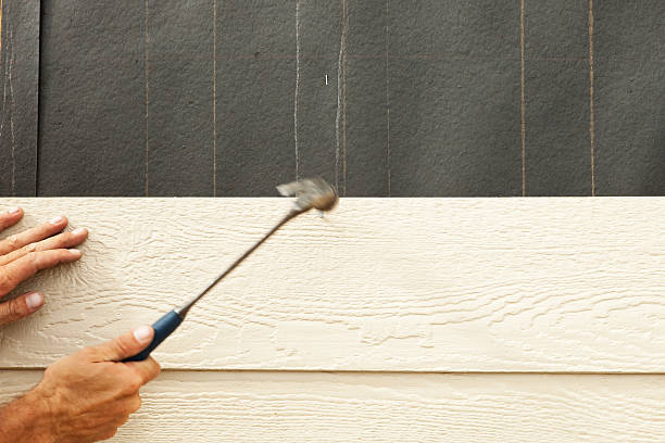 Affordable Siding Repair and Maintenance Services in Dover, AR